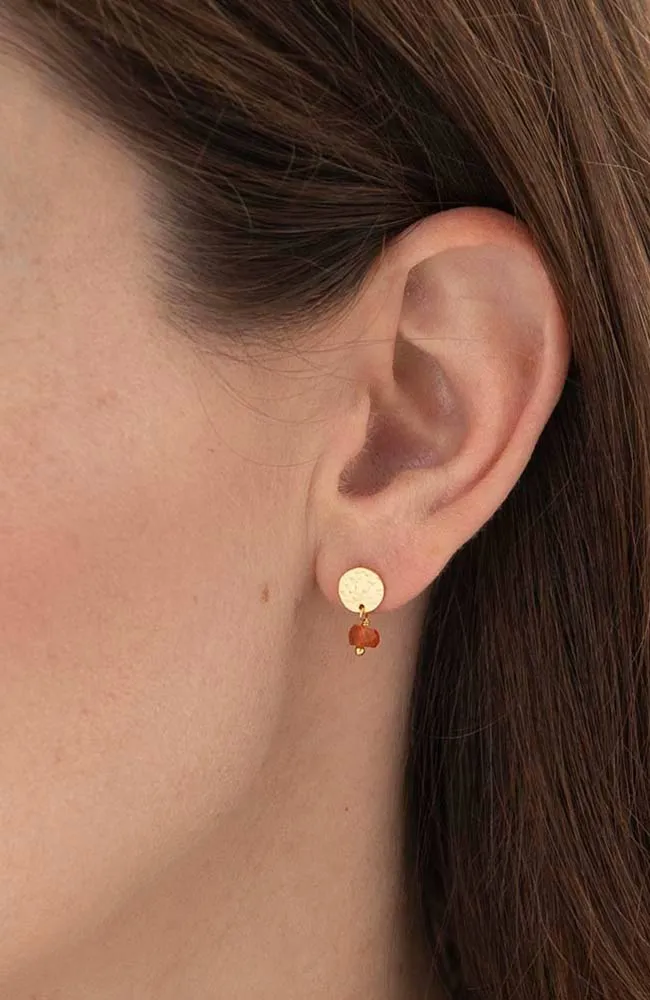 Mini Coin Earrings - divers