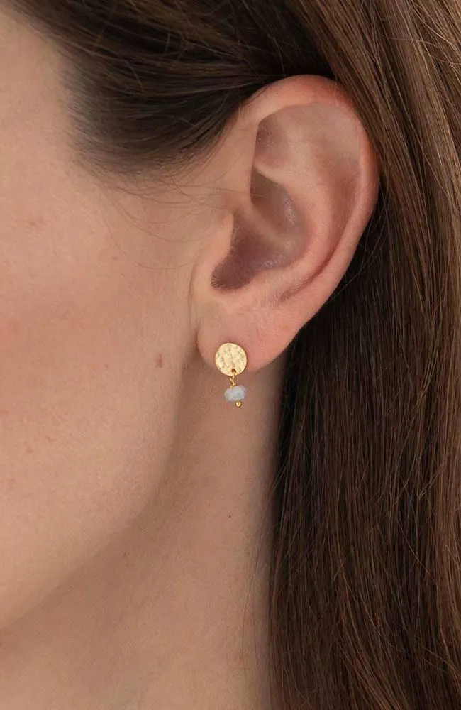 Mini Coin Earrings - divers
